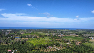 ขาย ที่ดิน ขายที่ดินใกล้หาดนาใต้ไม่เกินล้าน ใกล้สนามบินภูเก็ตใกล้ทะเล เหมาะทำบ้านพักตากอากาศ ซื้อที่ดินโคกกลอยเจ้าของขายเอง ที่ดินเปล่าโคกกลอยโฉนดพร้อมโอน